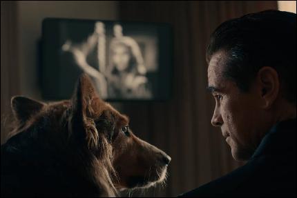 oz3z444fttg6 (1520x1014, 68 k�...)